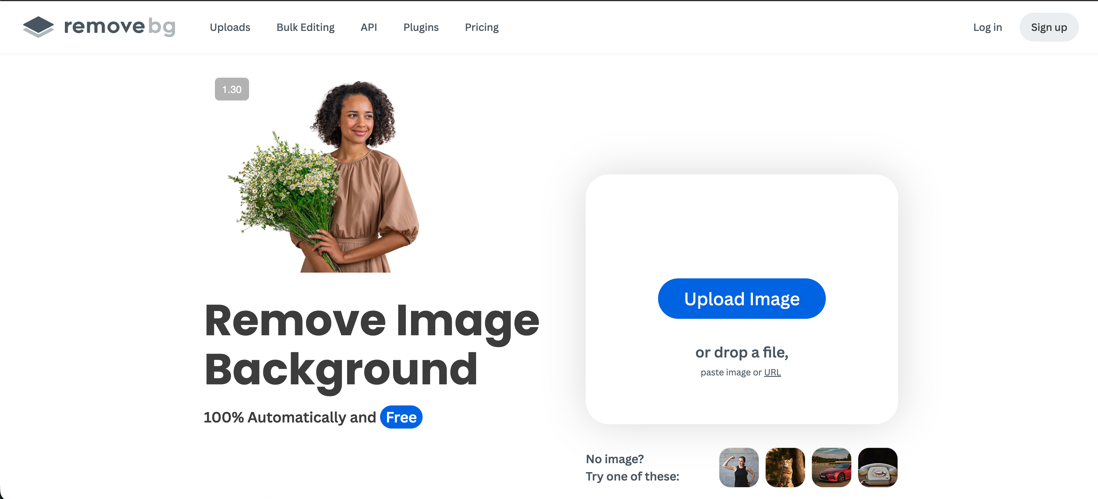 Remove.bg interface showing background removal